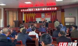 石塘镇最新爆料新闻报道,揭秘背后惊人真相！