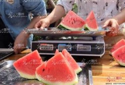 娱乐吃瓜酱重庆山东,揭秘重庆与山东的美食文化碰撞