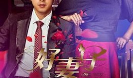 好妻子电视剧在线观看,揭秘现代家庭情感纠葛，演绎真挚爱情与亲情